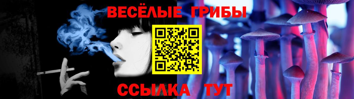 Псилоцибиновые грибы Magic Shrooms  Вход с VPN  Псилоцибиновые грибы Magic Shrooms  Ахтубинск 